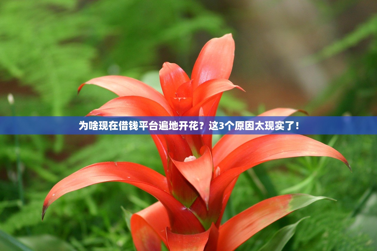 为啥现在借钱平台遍地开花？这3个原因太现实了！