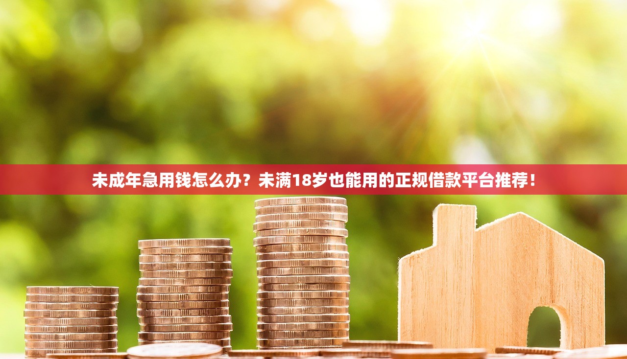 未成年急用钱怎么办？未满18岁也能用的正规借款平台推荐！