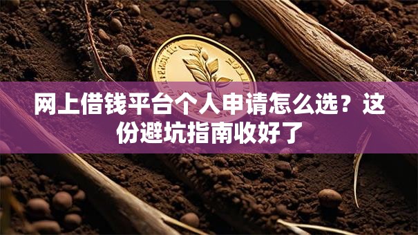 网上借钱平台个人申请怎么选？这份避坑指南收好了
