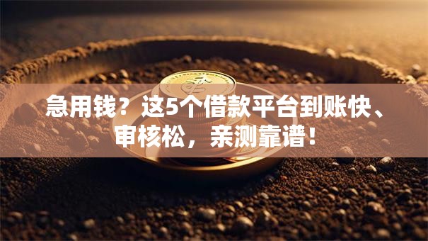 急用钱？这5个借款平台到账快、审核松，亲测靠谱！