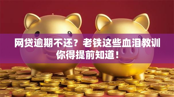 网贷逾期不还？老铁这些血泪教训你得提前知道！