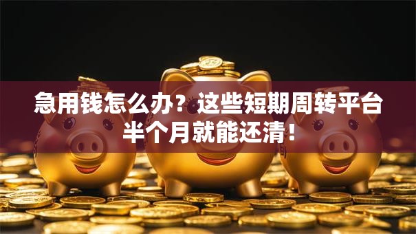 急用钱怎么办？这些短期周转平台半个月就能还清！