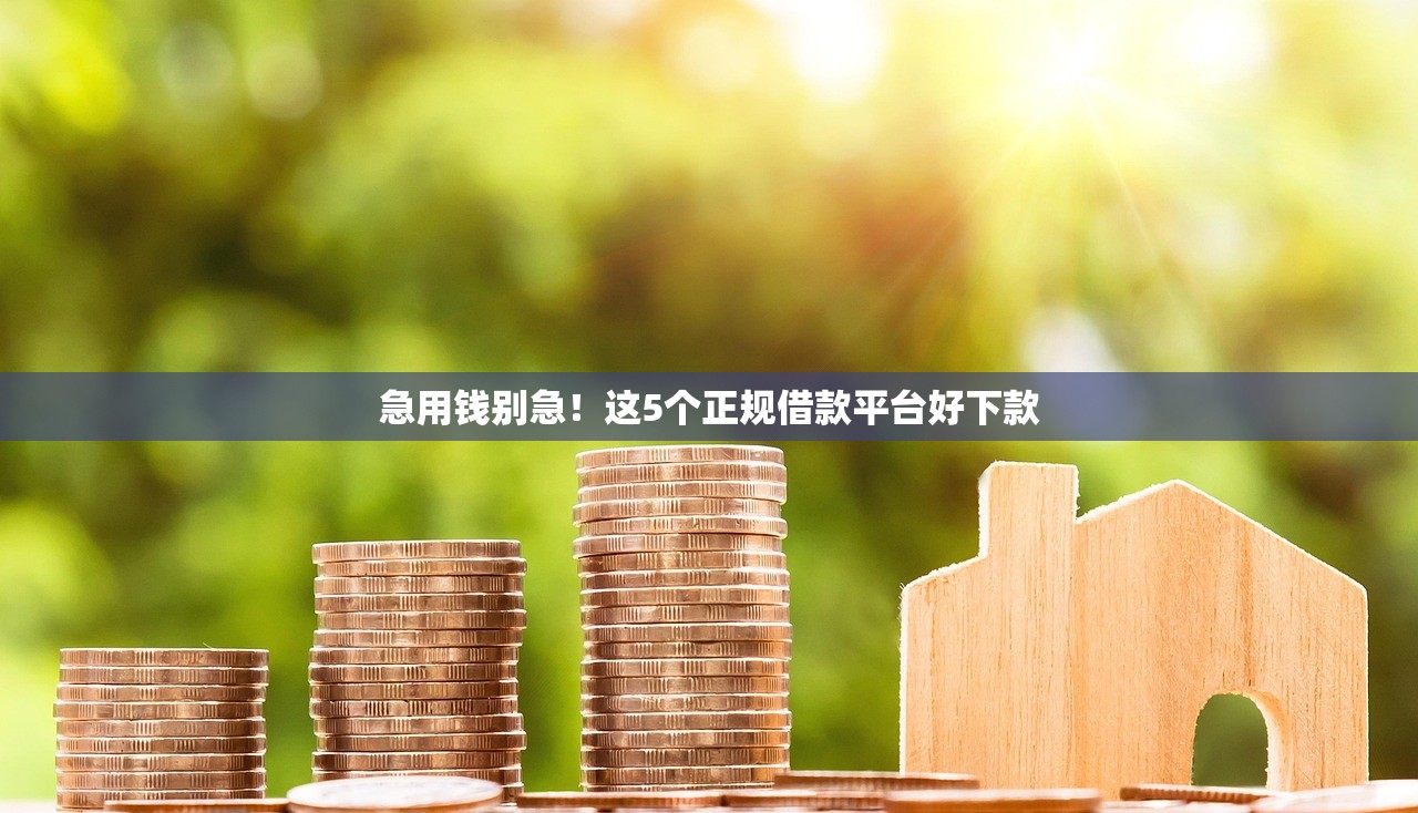 急用钱别急！这5个正规借款平台好下款