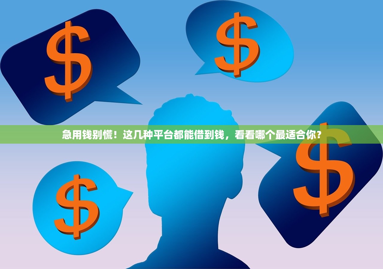 急用钱别慌！这几种平台都能借到钱，看看哪个最适合你？