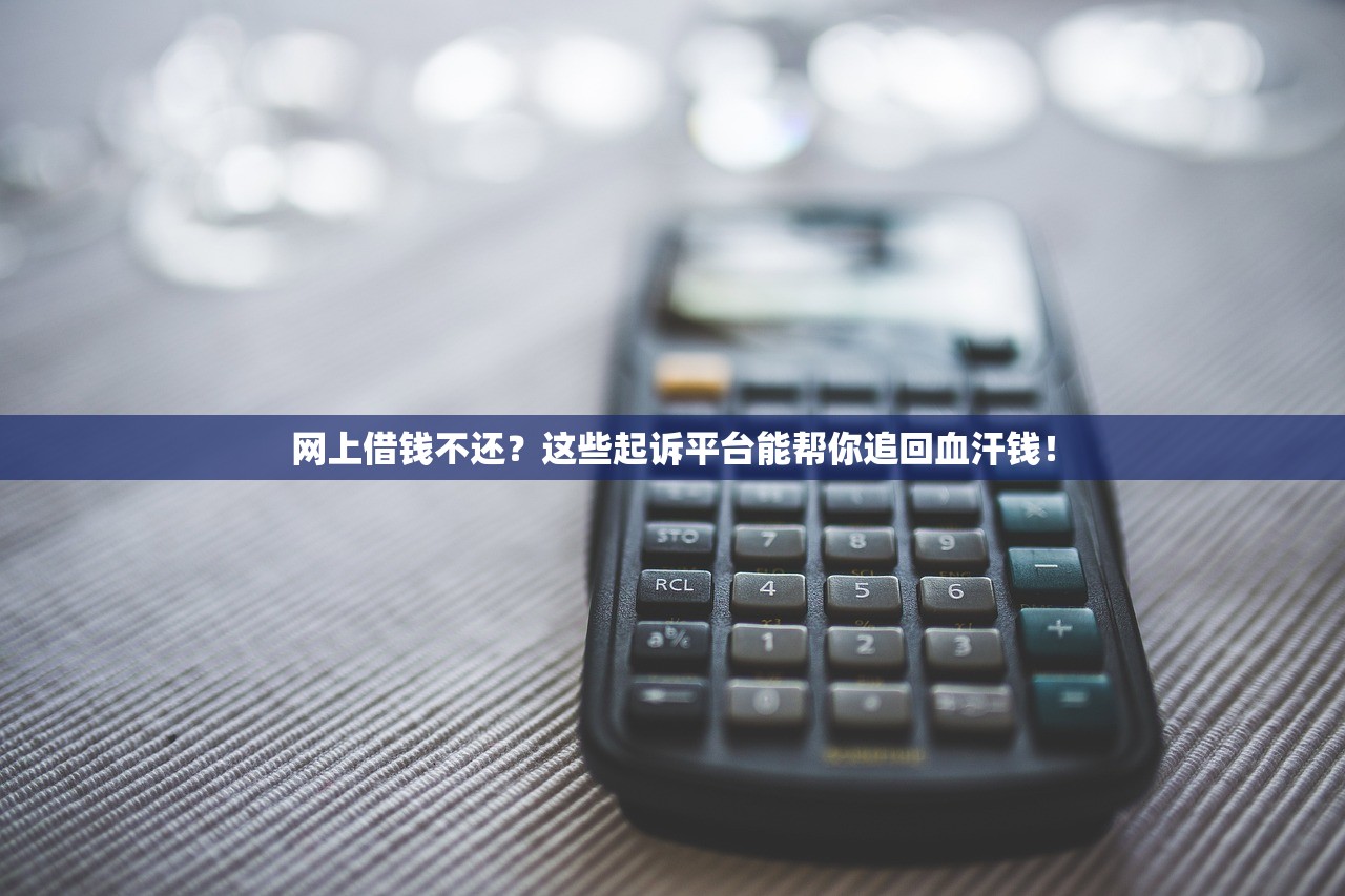 网上借钱不还？这些起诉平台能帮你追回血汗钱！
