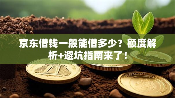 京东借钱一般能借多少？额度解析+避坑指南来了！