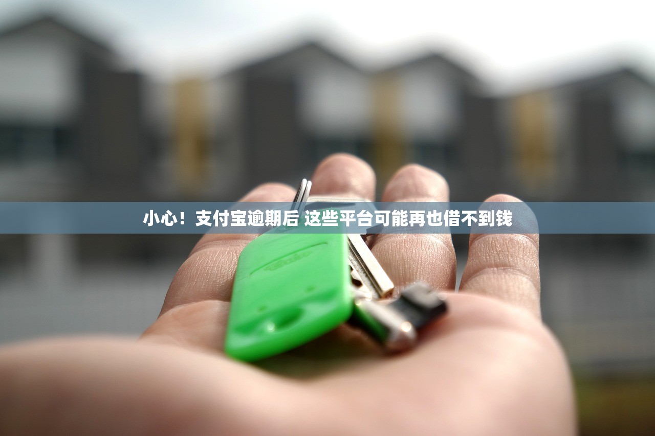 小心！支付宝逾期后 这些平台可能再也借不到钱