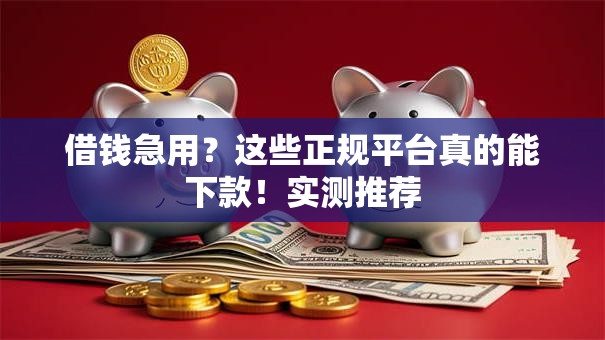 借钱急用？这些正规平台真的能下款！实测推荐