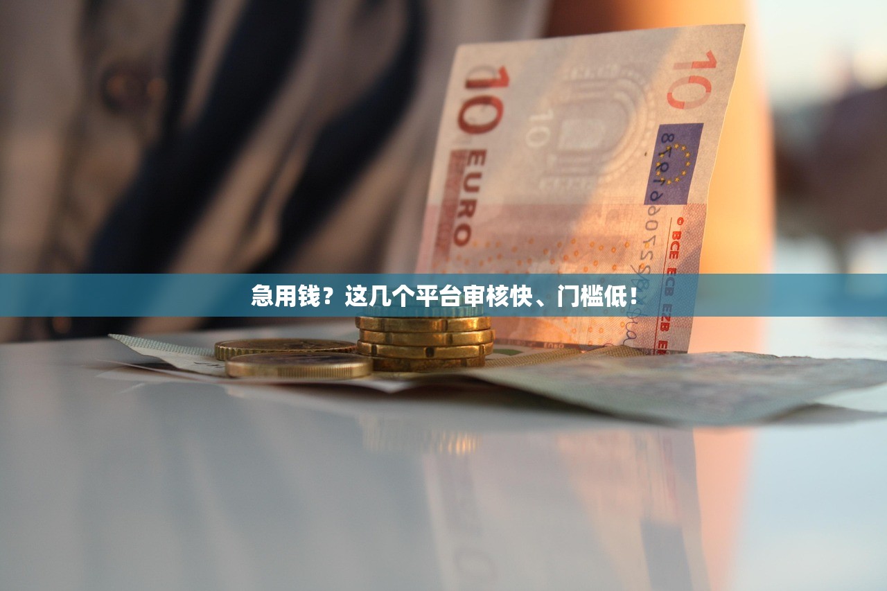 急用钱？这几个平台审核快、门槛低！