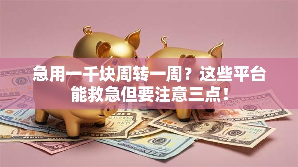 急用一千块周转一周?这些平台能救急但要注意三点! 急用一千块周转一周?这些平台能救急但要注意三点!