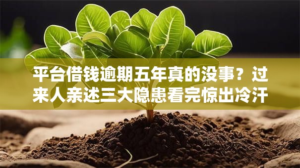 平台借钱逾期五年真的没事?过来人亲述三大隐患看完惊出冷汗! 平台借钱逾期五年真的没事?过来人亲述三大隐患看完惊出冷汗!