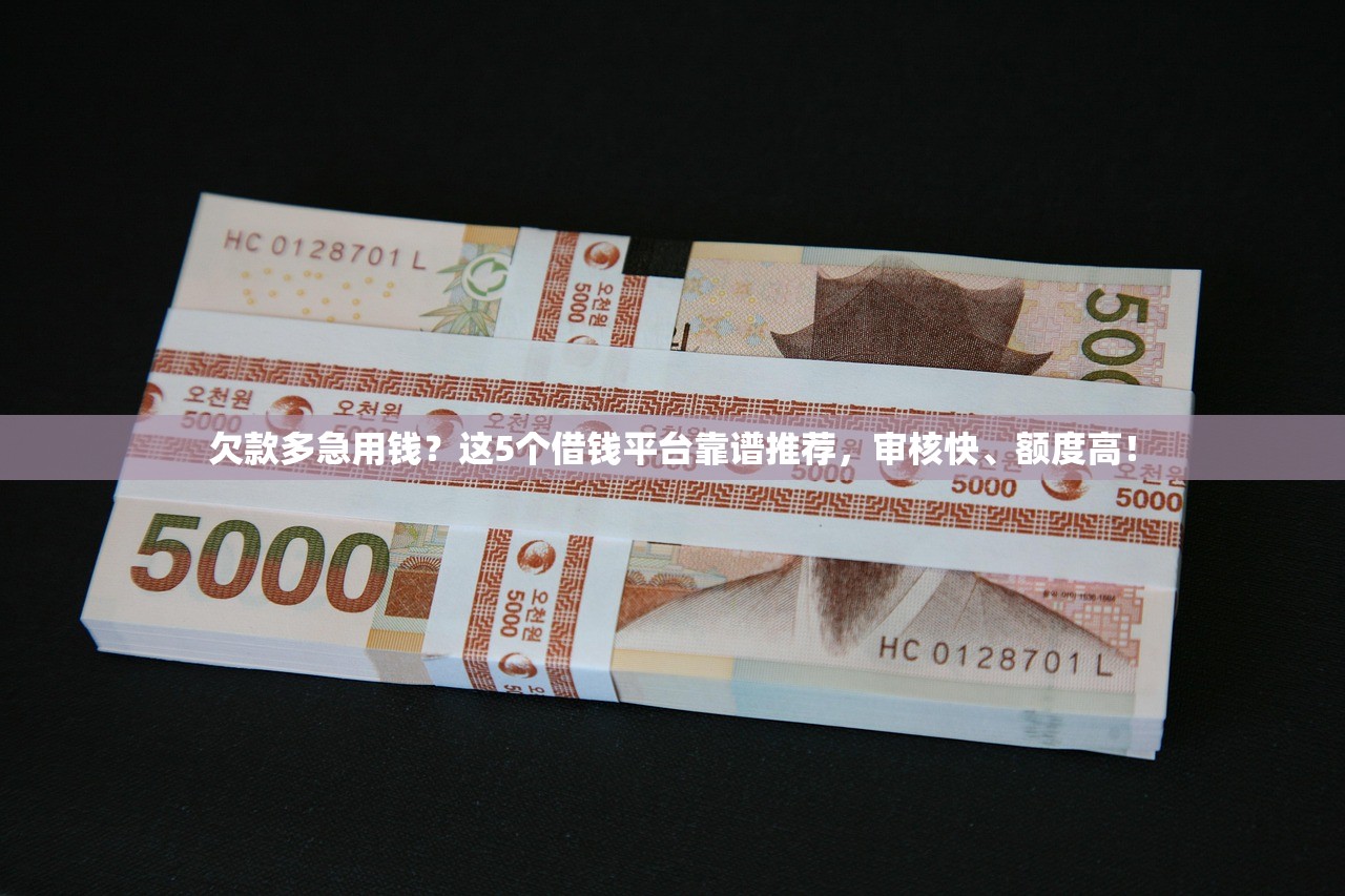 欠款多急用钱?这5个借钱平台靠谱推荐,审核快、额度高! 欠款多急用钱?这5个借钱平台靠谱推荐,审核快、额度高!