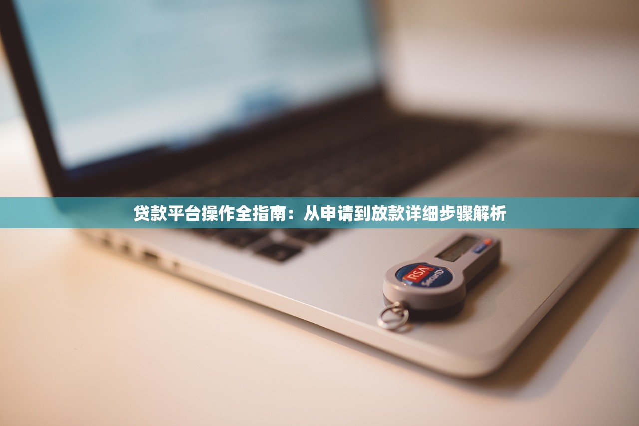 贷款平台操作全指南：从申请到放款详细步骤解析