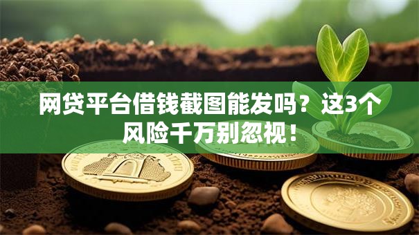 网贷平台借钱截图能发吗？这3个风险千万别忽视！