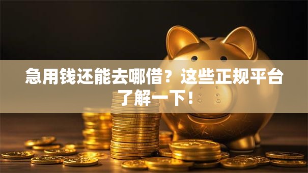 急用钱还能去哪借？这些正规平台了解一下！