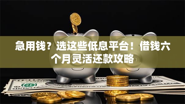 急用钱？选这些低息平台！借钱六个月灵活还款攻略