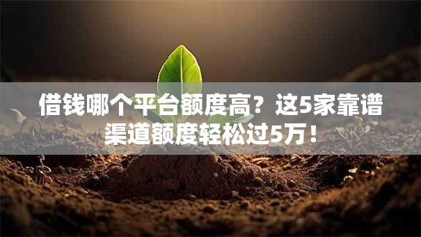 借钱哪个平台额度高？这5家靠谱渠道额度轻松过5万！