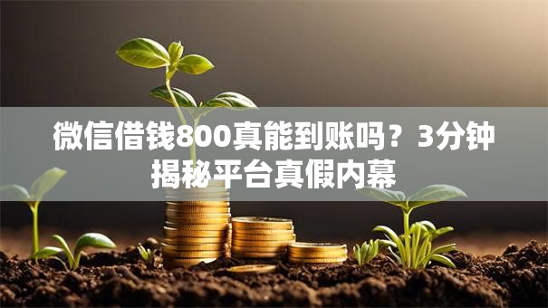 微信借钱800真能到账吗？3分钟揭秘平台真假内幕