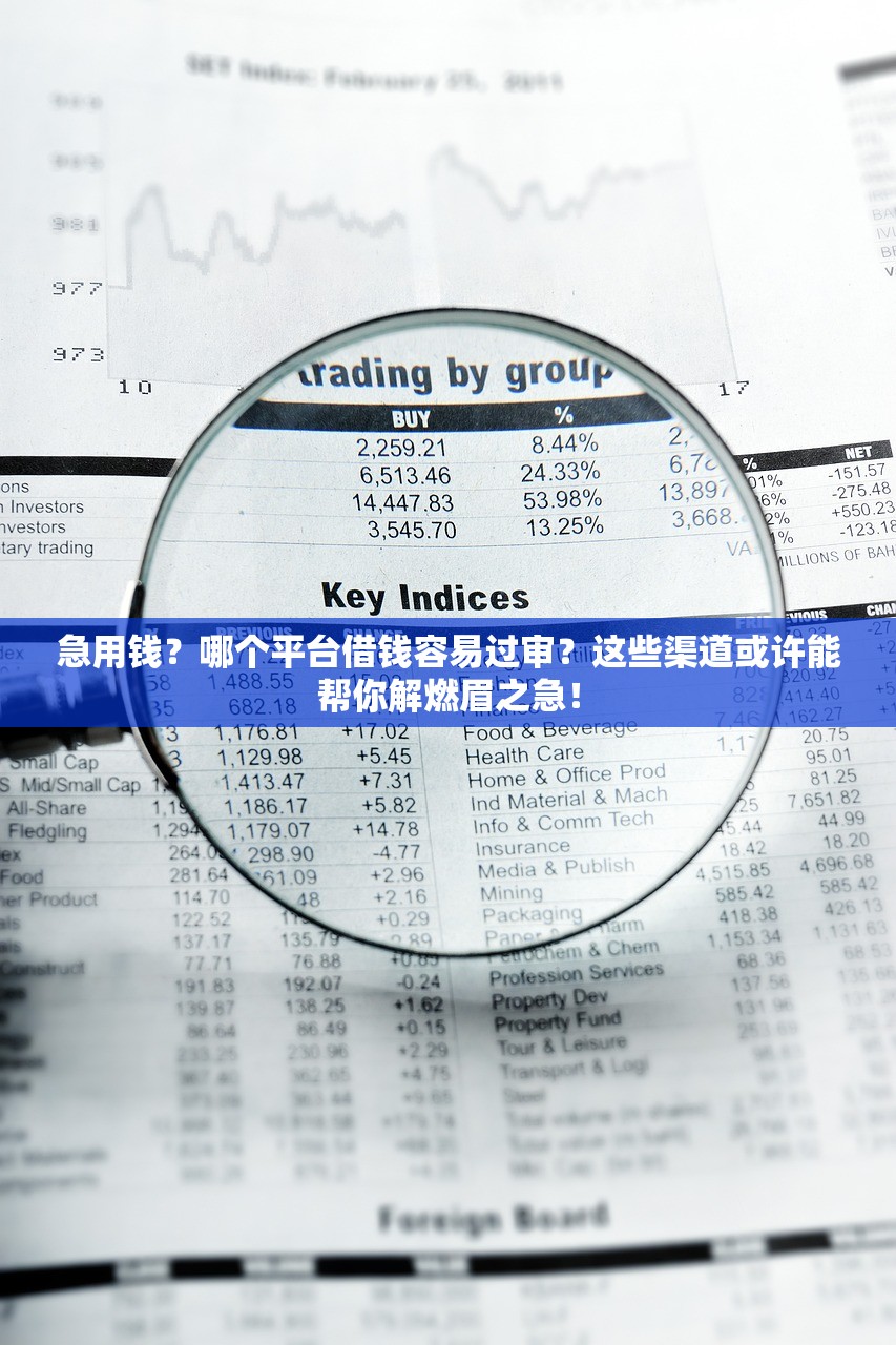 急用钱?哪个平台借钱容易过审?这些渠道或许能帮你解燃眉之急! 急用钱?哪个平台借钱容易过审?这些渠道或许能帮你解燃眉之急!