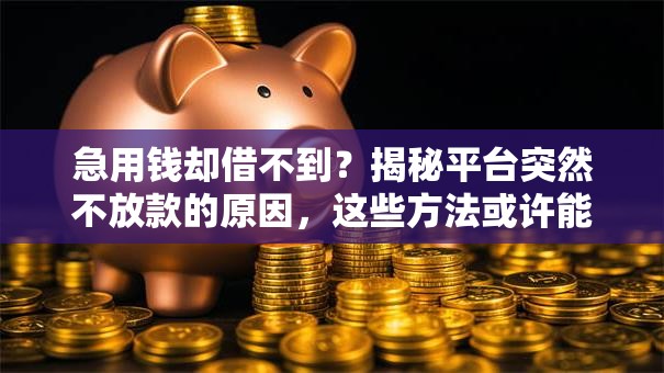 急用钱却借不到？揭秘平台突然不放款的原因，这些方法或许能帮你