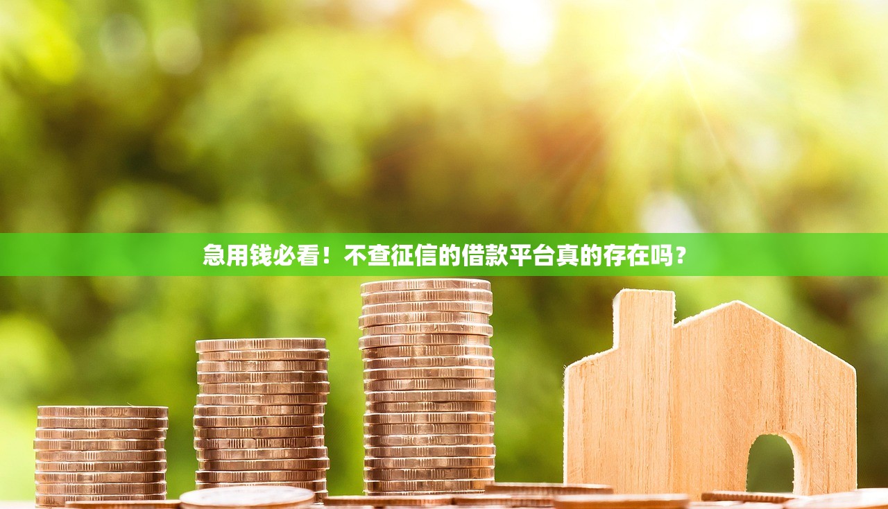 急用钱必看!不查征信的借款平台真的存在吗? 急用钱必看!不查征信的借款平台真的存在吗?