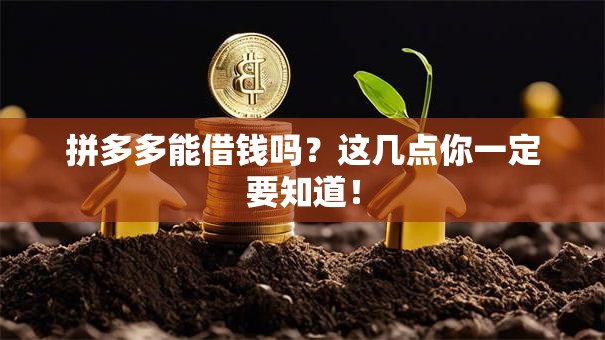 拼多多能借钱吗?这几点你一定要知道! 拼多多能借钱吗?这几点你一定要知道!