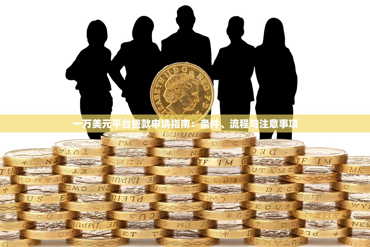 一万美元平台贷款申请指南：条件、流程与注意事项