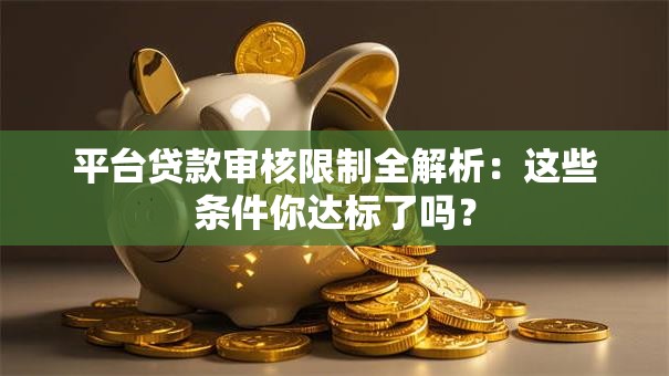 平台贷款审核限制全解析：这些条件你达标了吗？