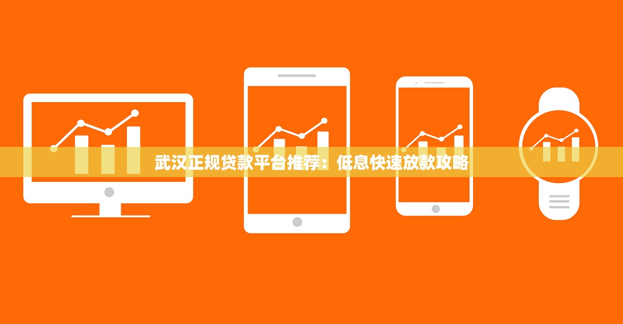 武汉正规贷款平台推荐：低息快速放款攻略