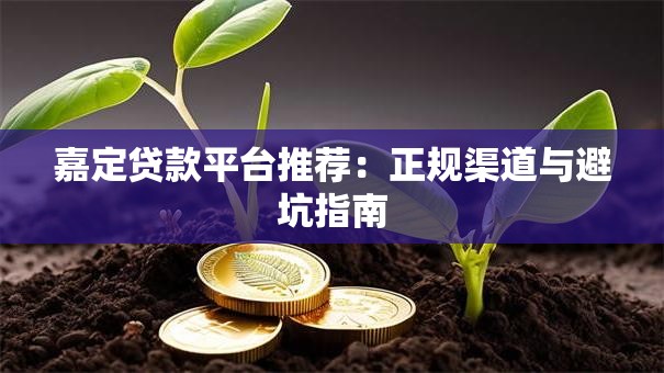 嘉定贷款平台推荐：正规渠道与避坑指南