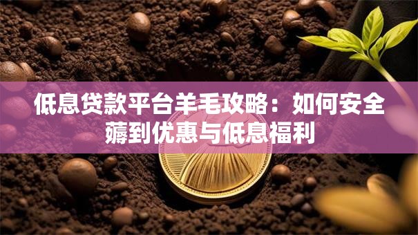 低息贷款平台羊毛攻略：如何安全薅到优惠与低息福利