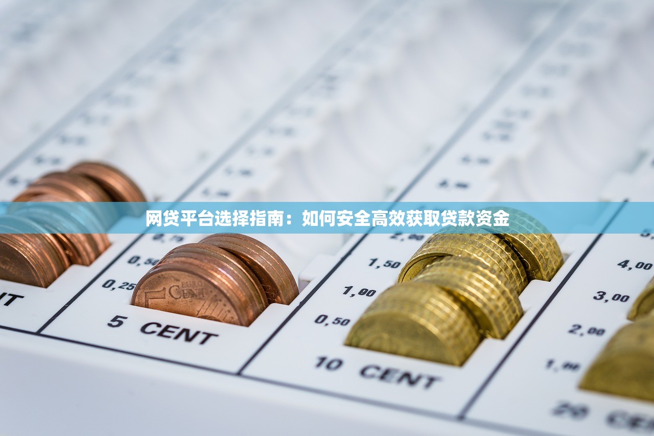 网贷平台选择指南：如何安全高效获取贷款资金