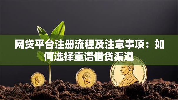 网贷平台注册流程及注意事项：如何选择靠谱借贷渠道