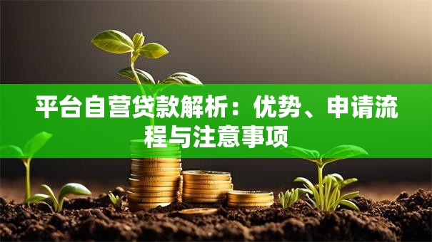 平台自营贷款解析：优势、申请流程与注意事项