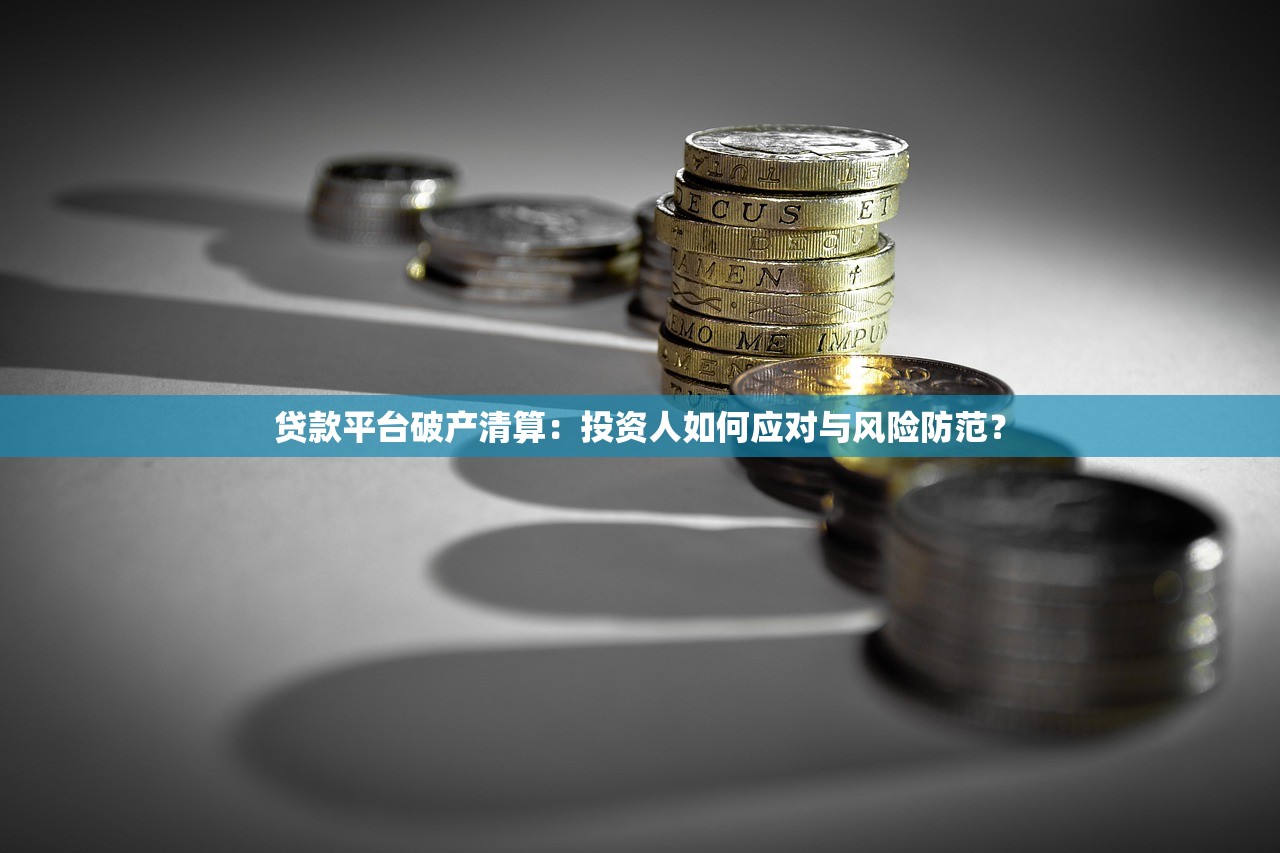 贷款平台破产清算：投资人如何应对与风险防范？