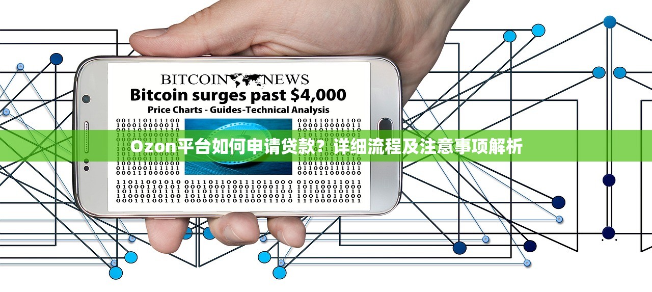 Ozon平台如何申请贷款？详细流程及注意事项解析