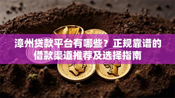 漳州贷款平台有哪些？正规靠谱的借款渠道推荐及选择指南