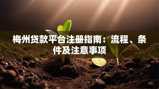 梅州贷款平台注册指南：流程、条件及注意事项
