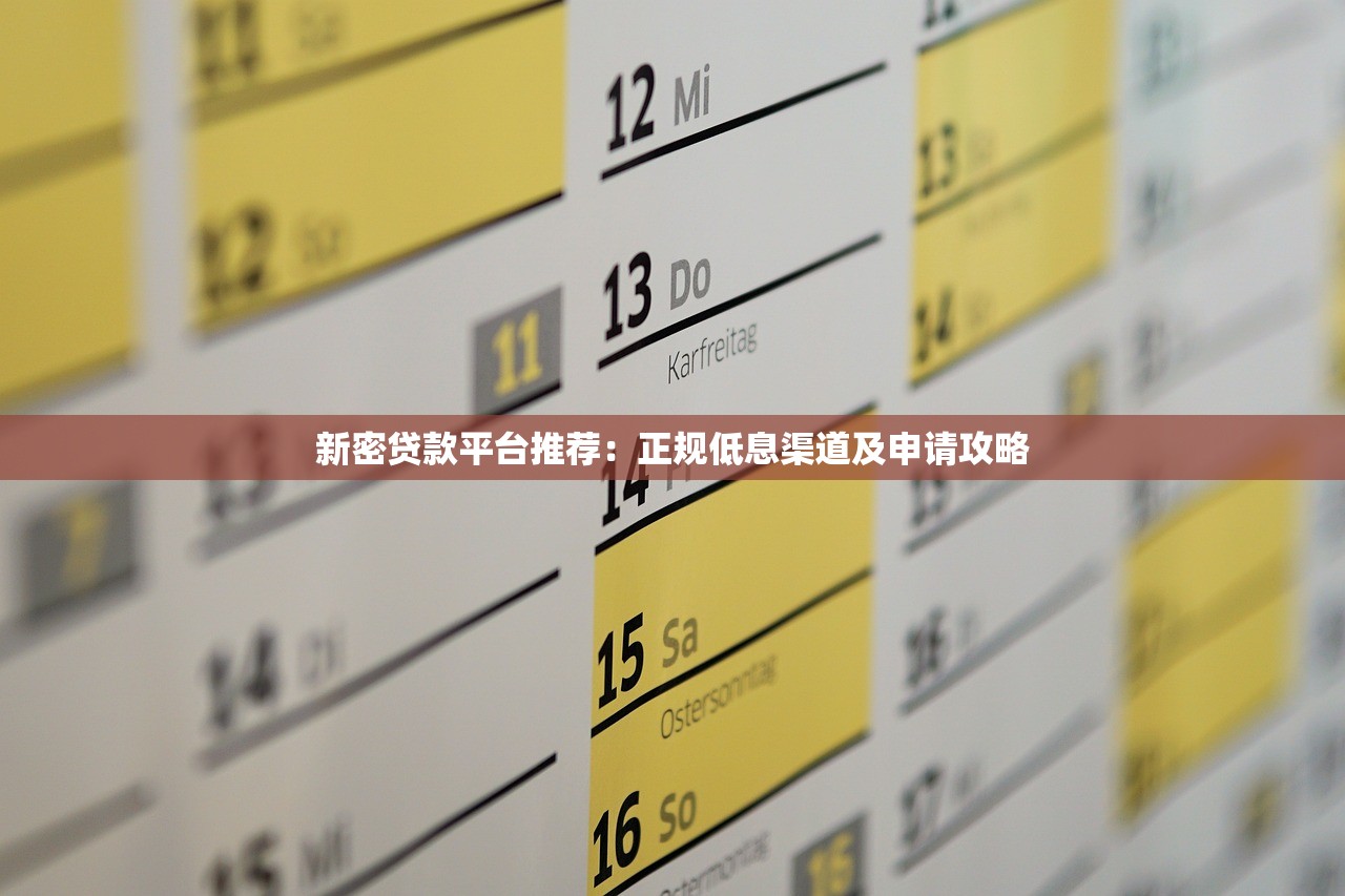 新密贷款平台推荐：正规低息渠道及申请攻略