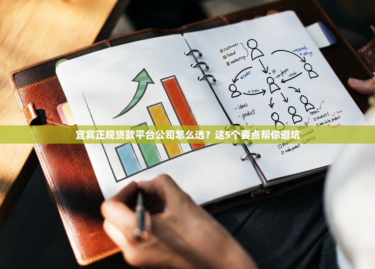 宜宾正规贷款平台公司怎么选？这5个要点帮你避坑
