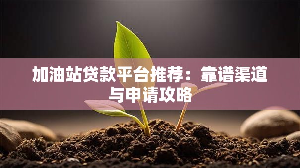 加油站贷款平台推荐：靠谱渠道与申请攻略