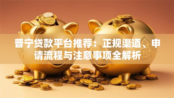 普宁贷款平台推荐：正规渠道、申请流程与注意事项全解析
