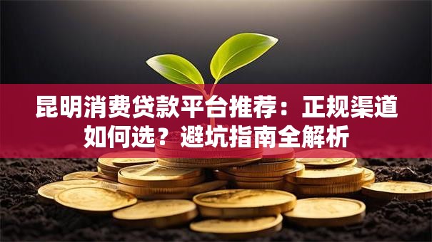 昆明消费贷款平台推荐：正规渠道如何选？避坑指南全解析