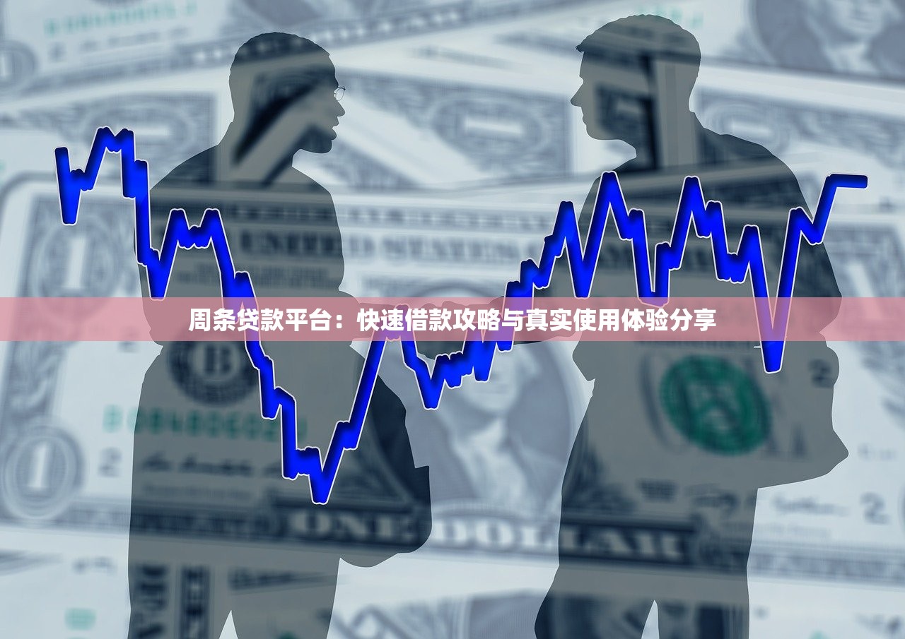 周条贷款平台：快速借款攻略与真实使用体验分享