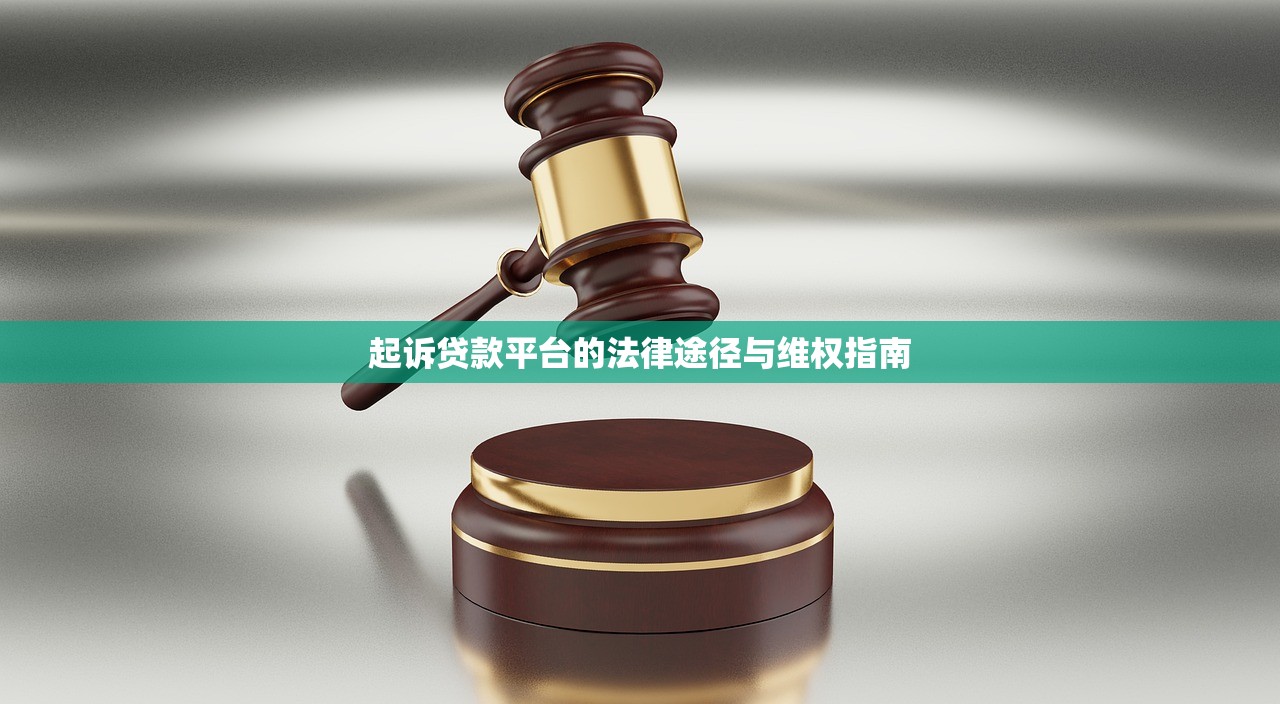起诉贷款平台的法律途径与维权指南