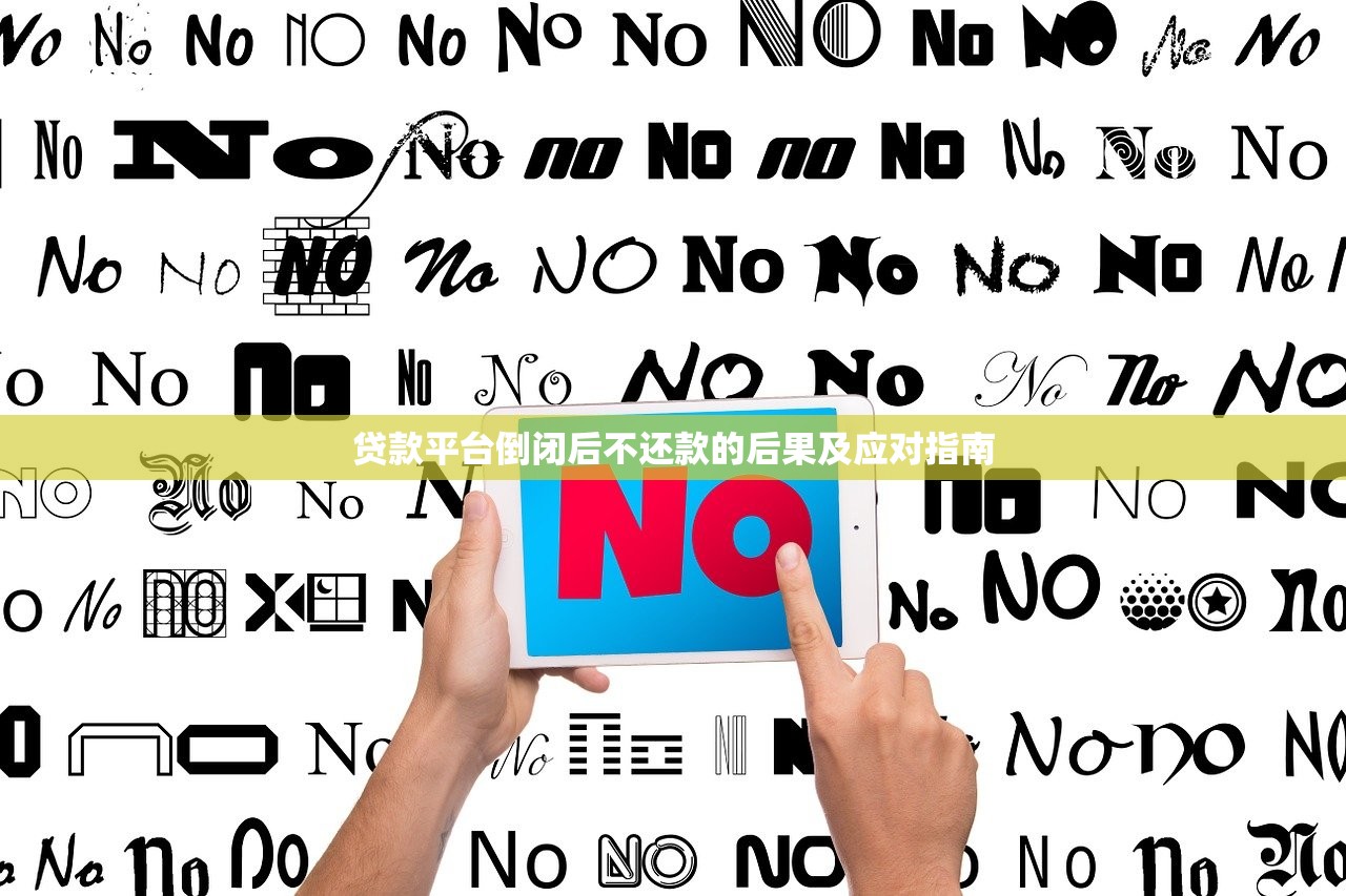 贷款平台倒闭后不还款的后果及应对指南