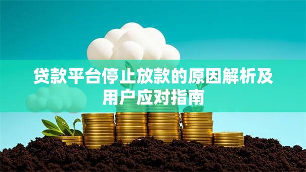 贷款平台停止放款的原因解析及用户应对指南