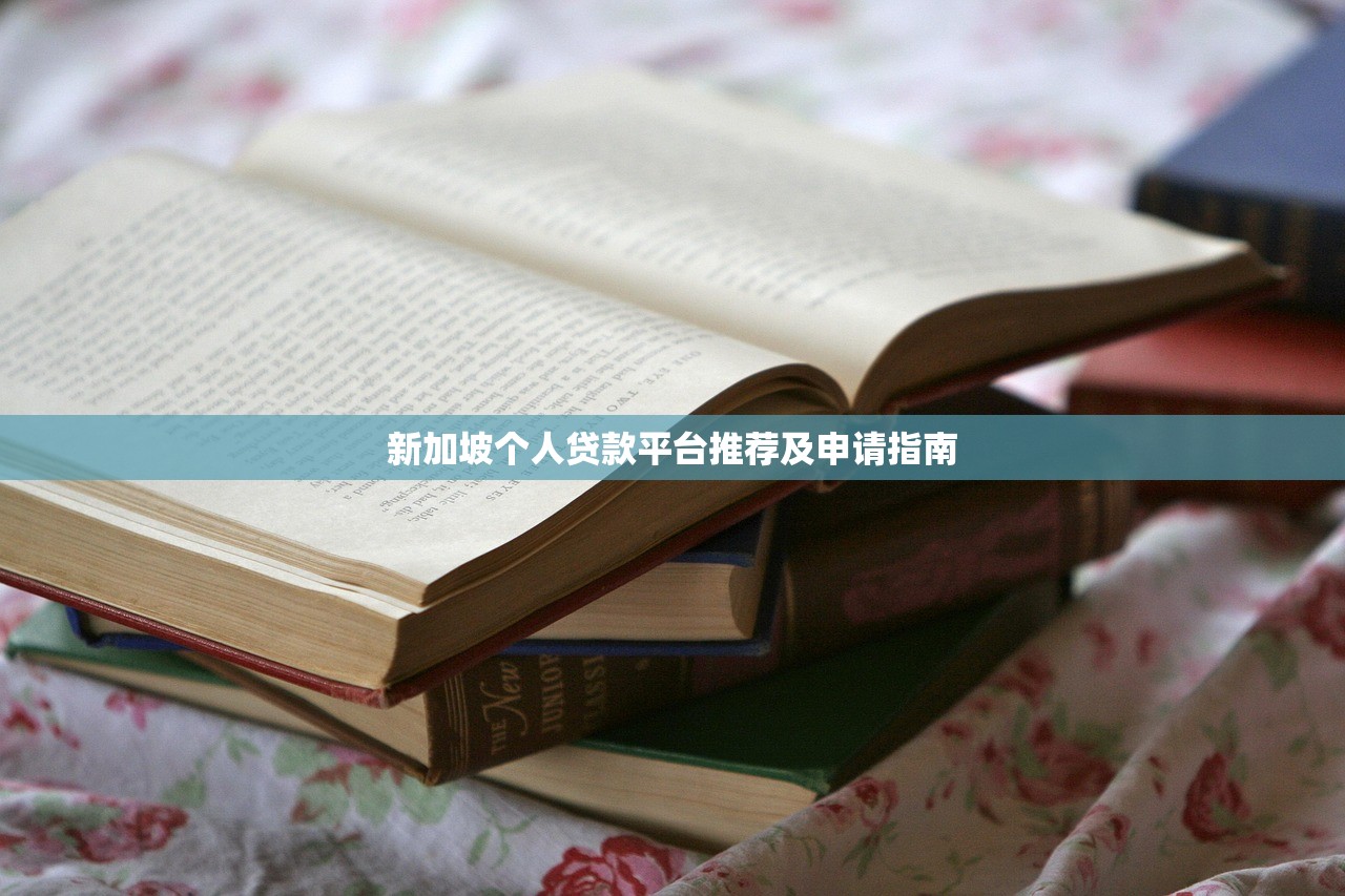 新加坡个人贷款平台推荐及申请指南
