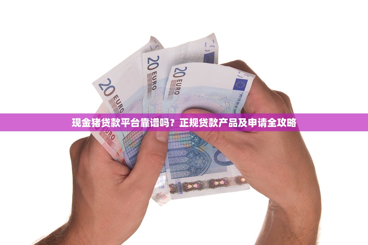 现金猪贷款平台靠谱吗？正规贷款产品及申请全攻略