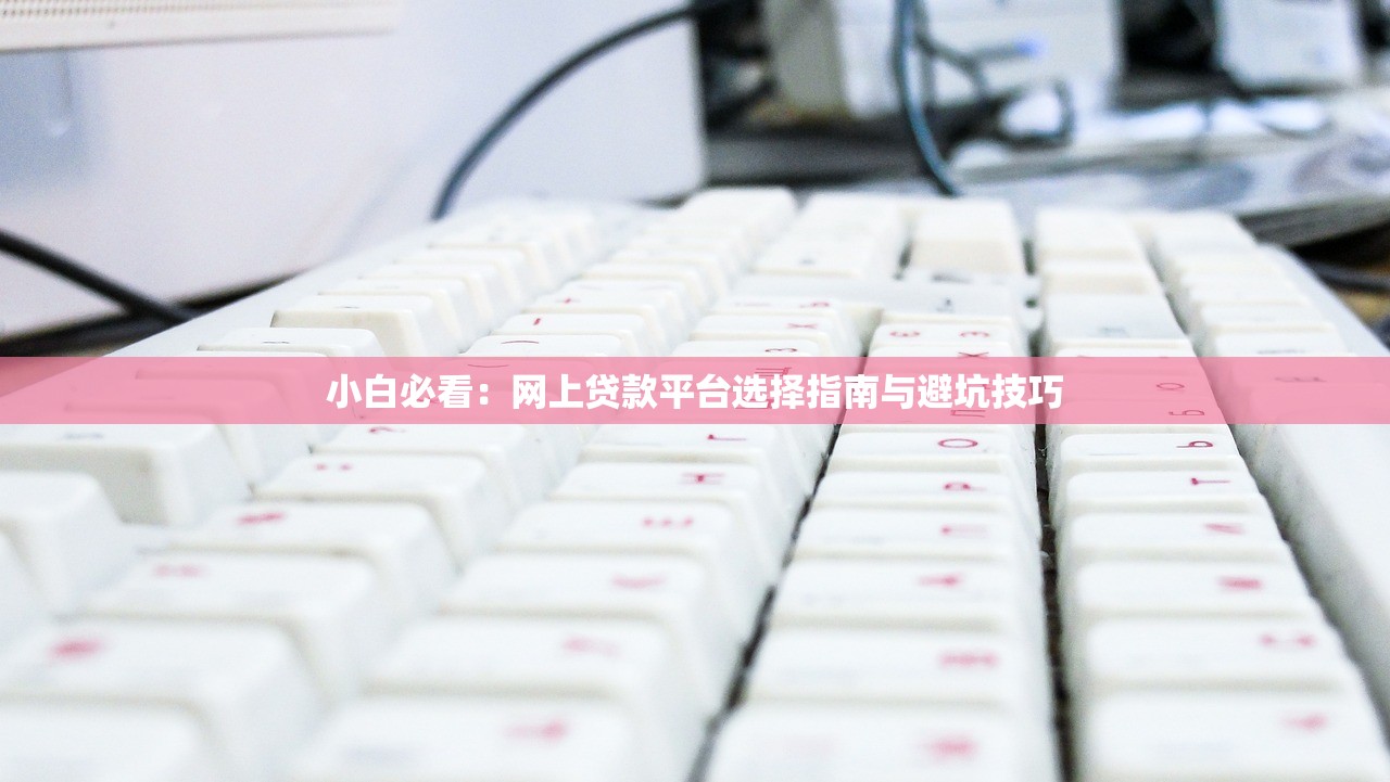 小白必看:网上贷款平台选择指南与避坑技巧 小白必看:网上贷款平台选择指南与避坑技巧